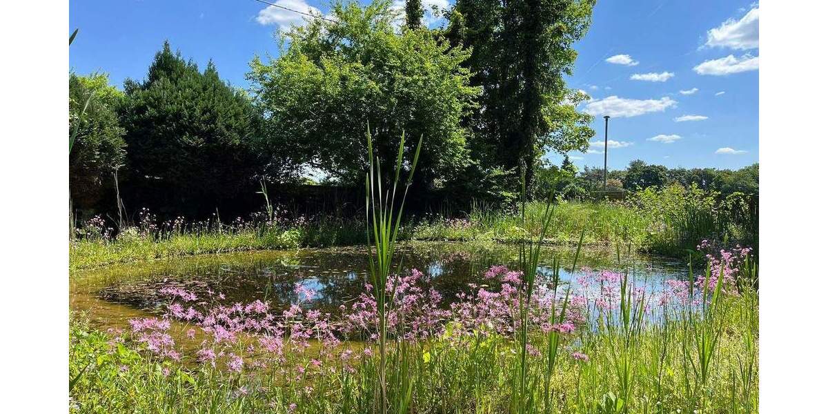 Bauernhaus, Landhaus Moers Vinn - 5 Zimmer, 244 m&sup2;, 749.000&euro; | Angebot:26037086