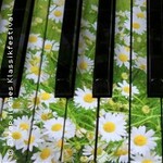 Alexander Zolotarev (Klavier)