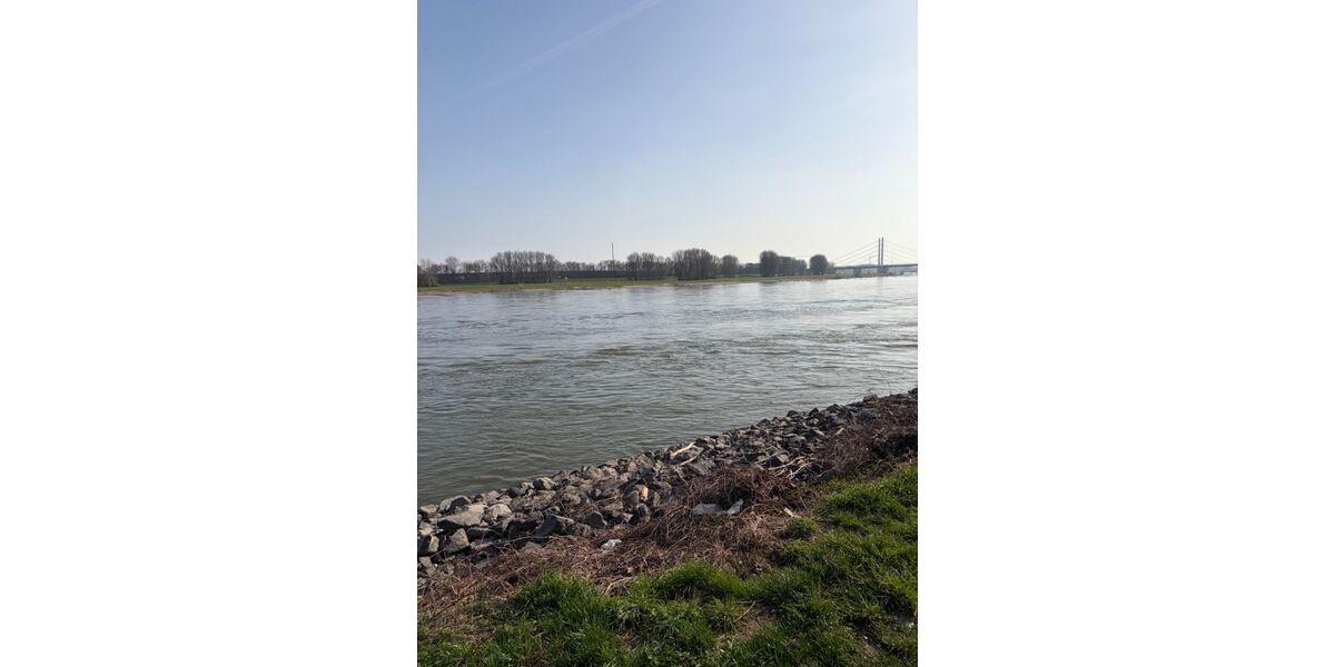 Provisionsfrei* Das letzte Haus Eckhaus EFH mit PV 10,4 KW+Garage 140m zum Rheinufer Energiebedarf 22,4 kWhm2a - Reihenendhaus Duisburg Essenberg | Angebot:25767241