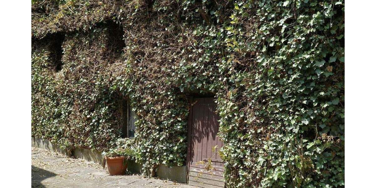 Mehrfamilienhaus, Wohnhaus Düsseldorf Urdenbach - 4 Zimmer, 121 m&sup2;, 739.000&euro; | Angebot:25820686