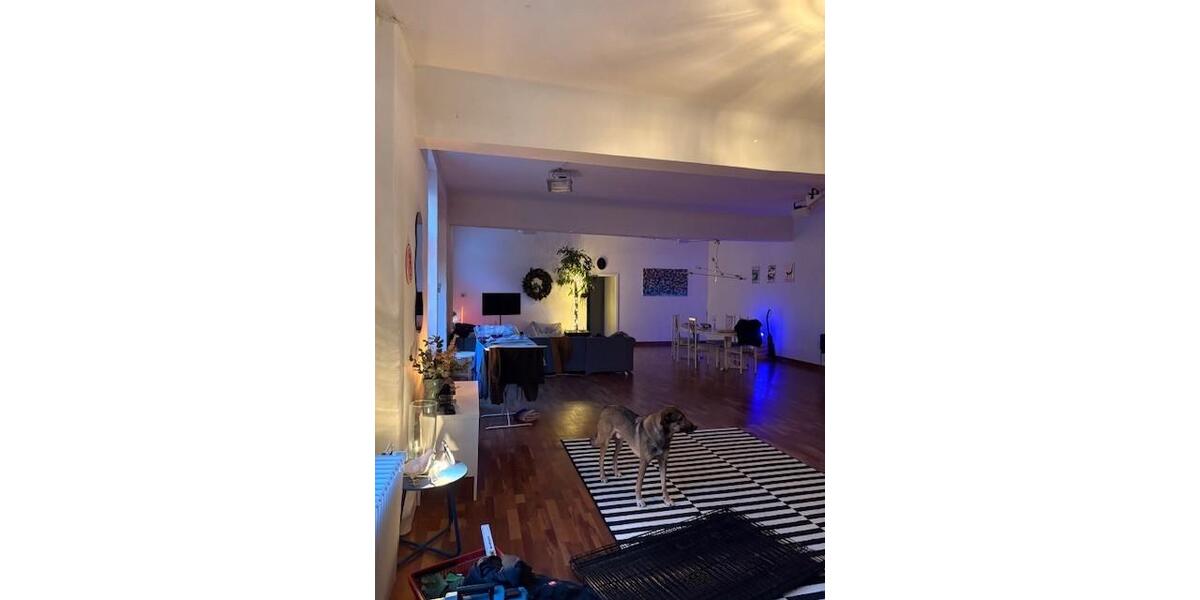 Etagenwohnung Düsseldorf Stadtbezirk 3 - 3 Zimmer, 216 m&sup2;, 1.935&euro; | Angebot:23806366