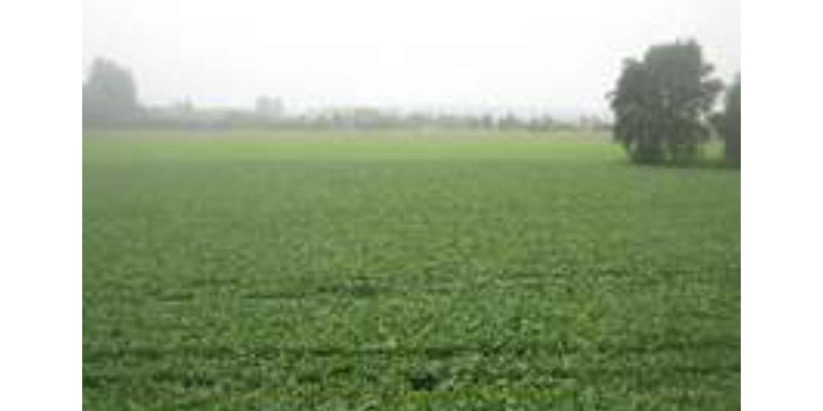 Etagenwohnung Neukirchen-Vluyn Vluyn - 3 Zimmer, 100 m&sup2;, 1.290&euro; | Angebot:25831679