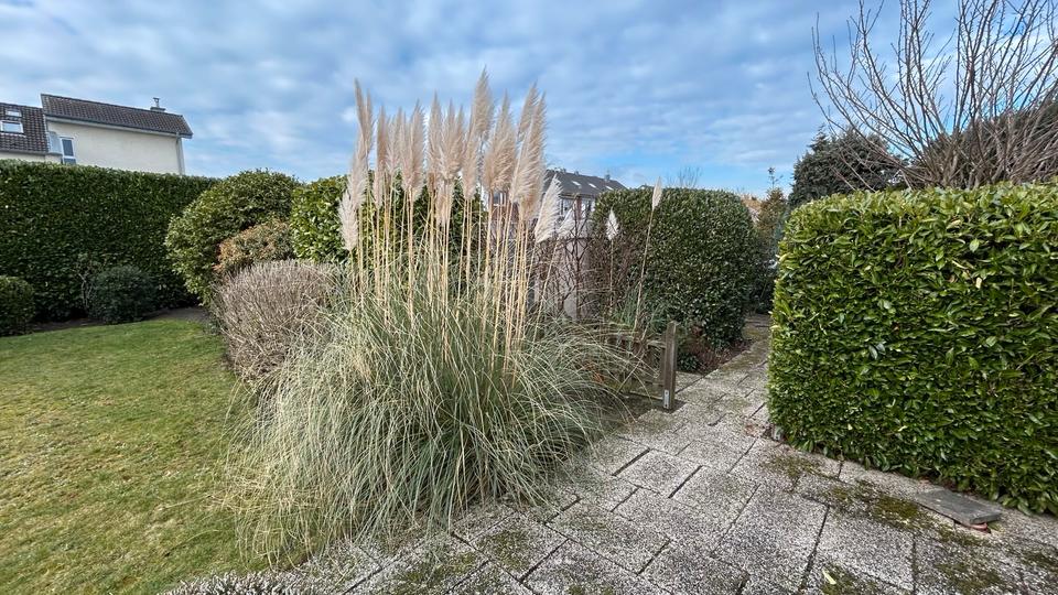 Doppelhaushälfte Willich - 7 Zimmer, 140 m&sup2;, 389.000&euro; | Angebot:25171429