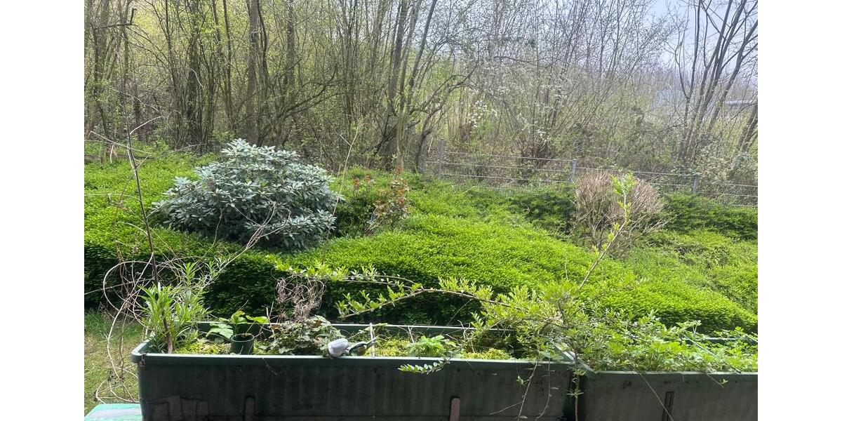 Etagenwohnung Wülfrath - 2 Zimmer, 62 m&sup2;, 184.400&euro; | Angebot:26055277