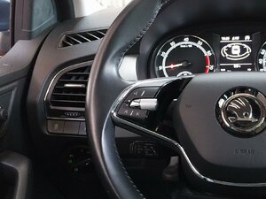 Skoda Fabia Drive 125 Best Of Pano PDC SHZ Navi 76.003 km 14.390 &euro; HAAN 42781