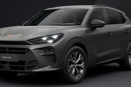 Cupra Terramar 1.220 km 37.943 &euro; Nettetal 41334