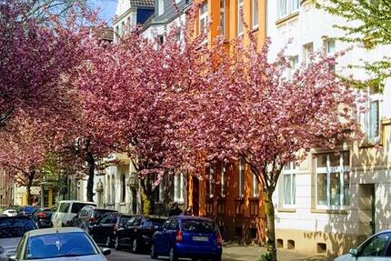 Wohnung Duisburg Beeck - 1.5 Zimmer, 38 m&sup2;, 66.500&euro; | Angebot:24742985