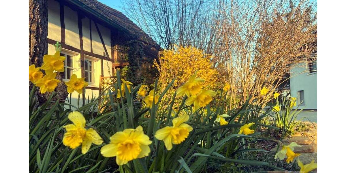 Einfamilienhaus Haan - 3 Zimmer, 79 m&sup2;, 479.000&euro; | Angebot:25682149