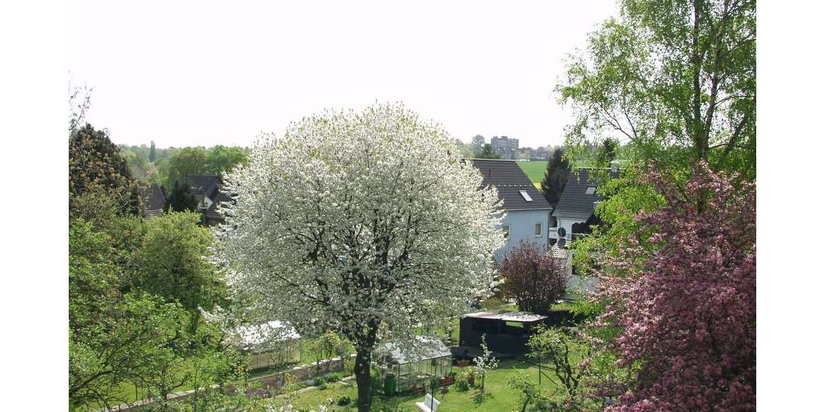 Etagenwohnung Mülheim an der Ruhr Heißen - 2.5 Zimmer, 58 m&sup2;, 119.000&euro; | Angebot:25275692