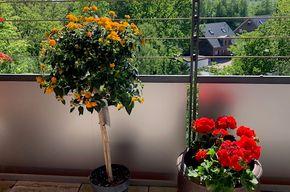 Etagenwohnung Mettmann - 4 Zimmer, 116 m&sup2;, 460.000&euro; | Angebot:26083158