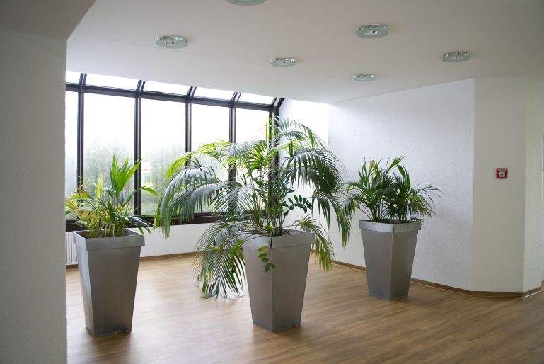 Gewerbeobjekt Düsseldorf Mörsenbroich - 214&euro; | Angebot:25898371