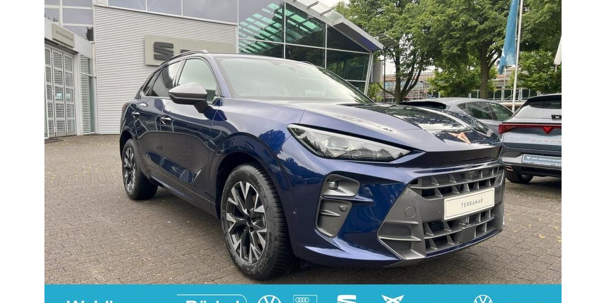 Cupra Terramar 5.000 km 37.890 &euro; Viersen 41751