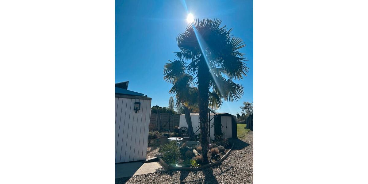 Einfamilienhaus Mönchengladbach West - 3 Zimmer, 110 m&sup2;, 524.990&euro; | Angebot:24837229