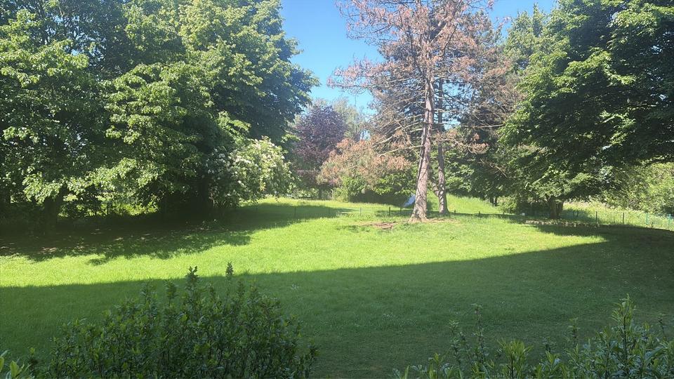 Erdgeschoßwohnung Krefeld Gartenstadt - 3 Zimmer, 77 m&sup2;, 925&euro; | Angebot:26676642