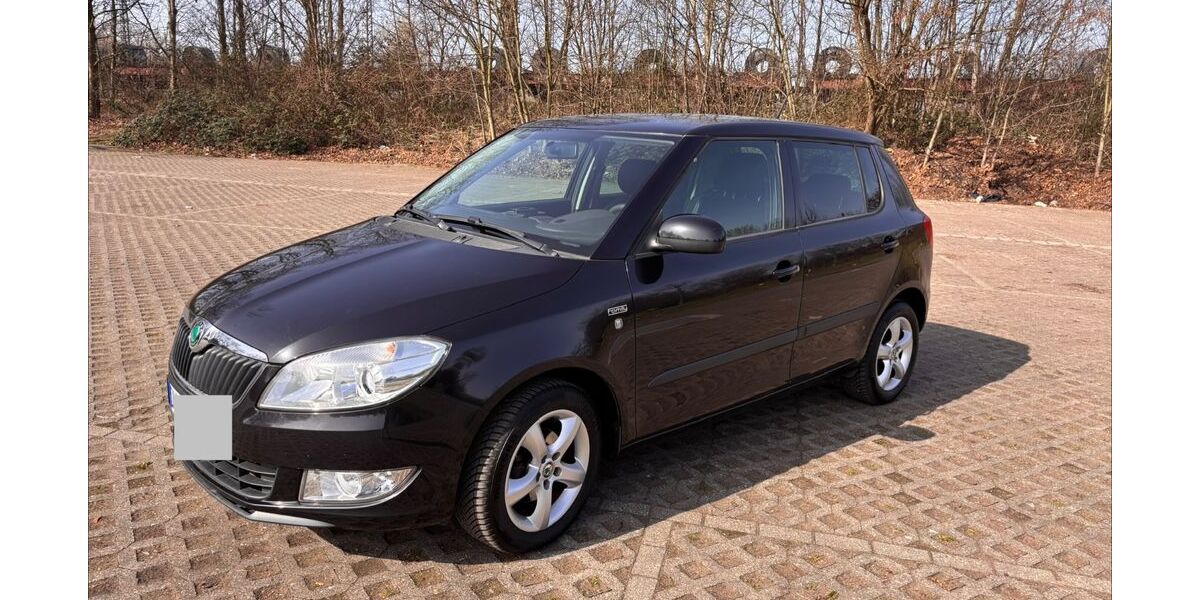 Skoda Fabia 154.500 km 4.300 &euro; Duisburg 47229
