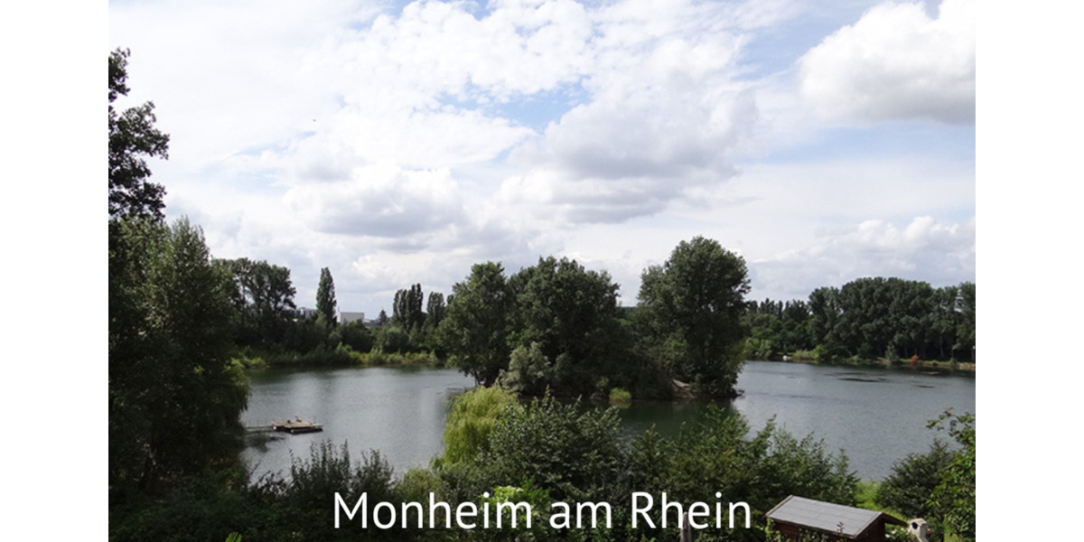 Gewerbeobjekt Monheim am Rhein - 79&euro; | Angebot:23471993
