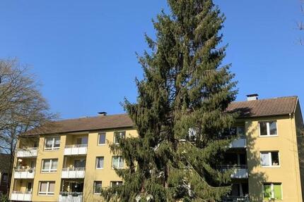 Wohnung Krefeld Fischeln - 2 Zimmer, 56 m&sup2;, 539&euro; | Angebot:26666185