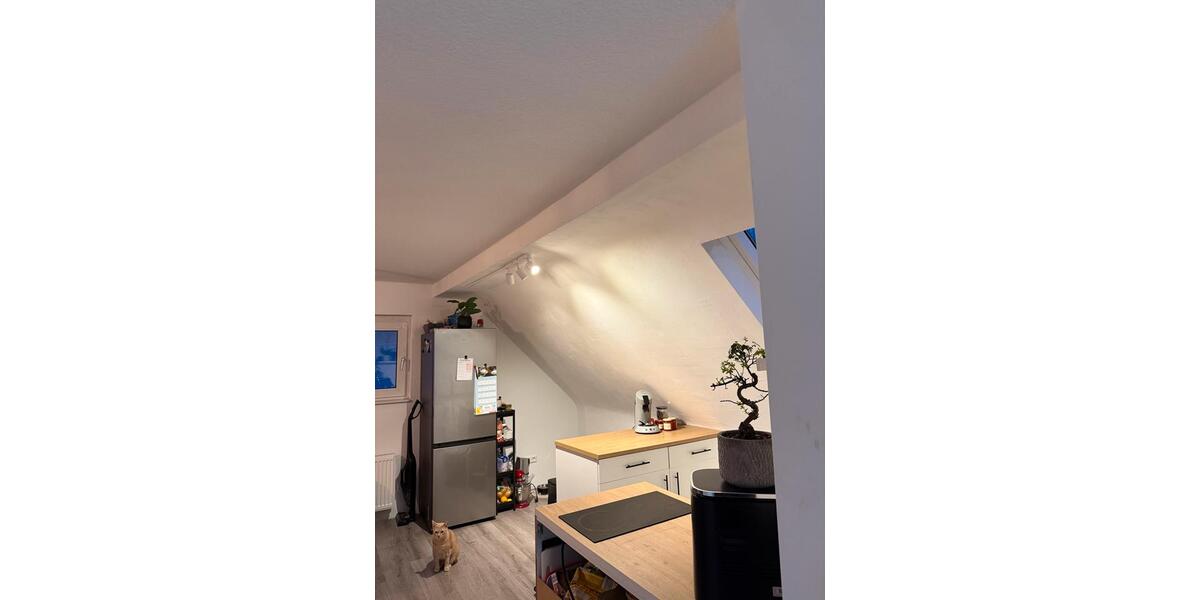 Dachgeschoßwohnung Duisburg Hochheide - 2 Zimmer, 40 m&sup2;, 532&euro; | Angebot:25753647