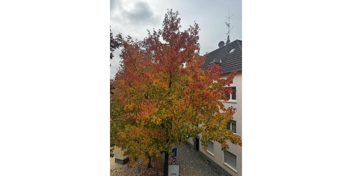 Maisonettenwohnung Krefeld - 3 Zimmer, 66 m&sup2;, 745&euro; | Angebot:25929638