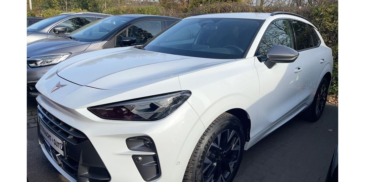 Cupra Terramar 24.540 km 32.690 &euro; Duisburg 47178