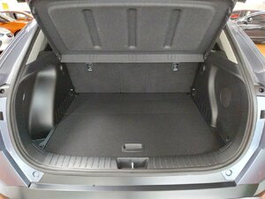 Hyundai Kona Prime 2WD AHK Bose SHZ LHZ Navi Kam 12.578 km 23.980 &euro; HAAN 42781