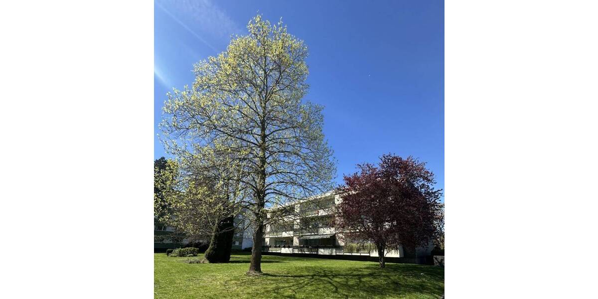 Etagenwohnung Mönchengladbach Pongs - 3 Zimmer, 75 m&sup2;, 139.000&euro; | Angebot:26402108