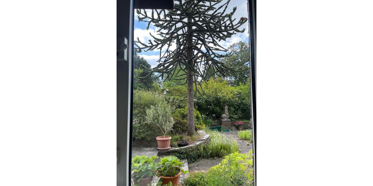 Gewerbeobjekt Düsseldorf Niederkassel - 210&euro; | Angebot:24871720