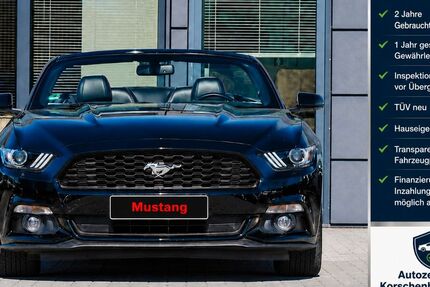 Ford Mustang 80.000 km 21.979 &euro; Korschenbroich 41352
