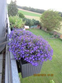 Dachgeschoßwohnung Mönchengladbach West - 4 Zimmer, 250.000&euro; | Angebot:24494844