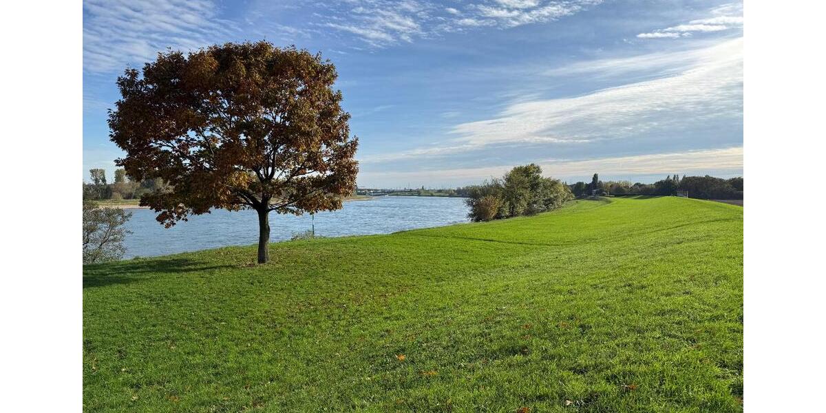 Etagenwohnung Neuss Gnadental - 5 Zimmer, 160 m&sup2;, 598.000&euro; | Angebot:26001600