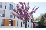 Etagenwohnung Mönchengladbach Stadtmitte - 4 Zimmer, 128 m&sup2;, 1.714&euro; | Angebot:26453952