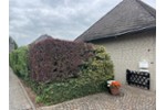 - Einfamilienhaus Dormagen Hackenbroich | Angebot:27235591