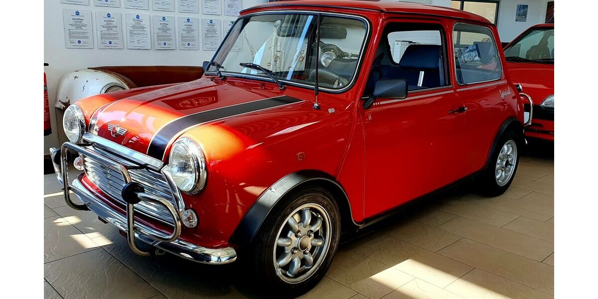 Mini 1000 29.547 km 13.910 &euro; Wachtendonk 47669