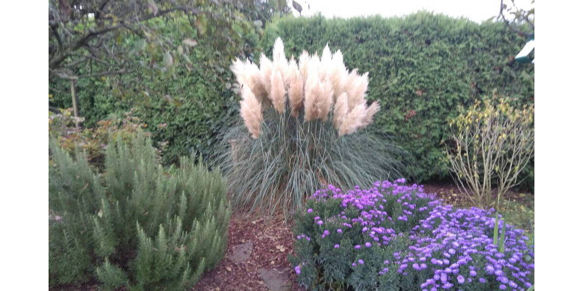 Doppelhaushälfte Wülfrath Innenstadt - 7 Zimmer, 185 m&sup2;, 575.000&euro; | Angebot:26027235